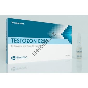 Тестостерон энантат Horizon Testozon E 250 (10 ампул) 250мг/1мл - Атырау